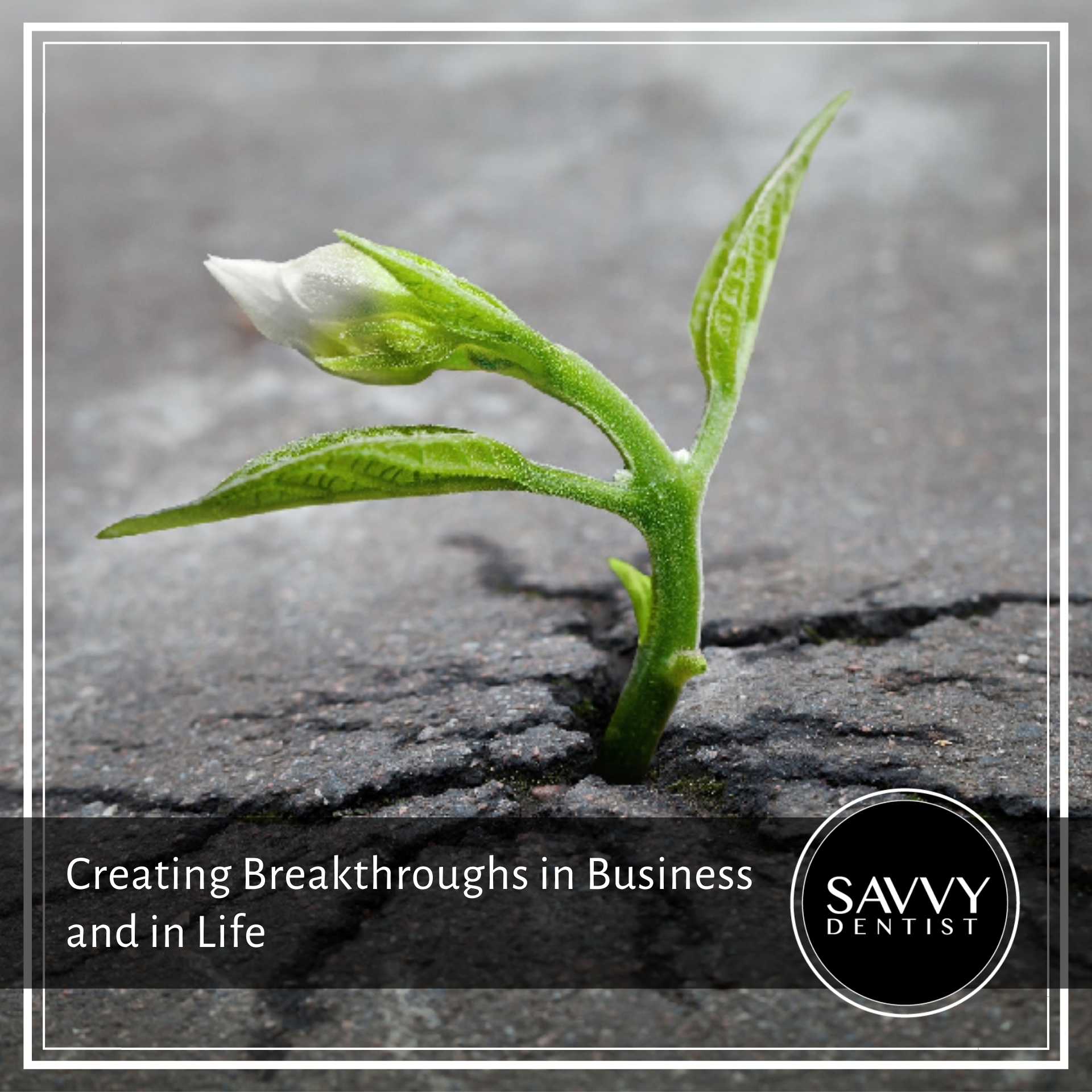 Creating Breakthroughs In Business And In Life