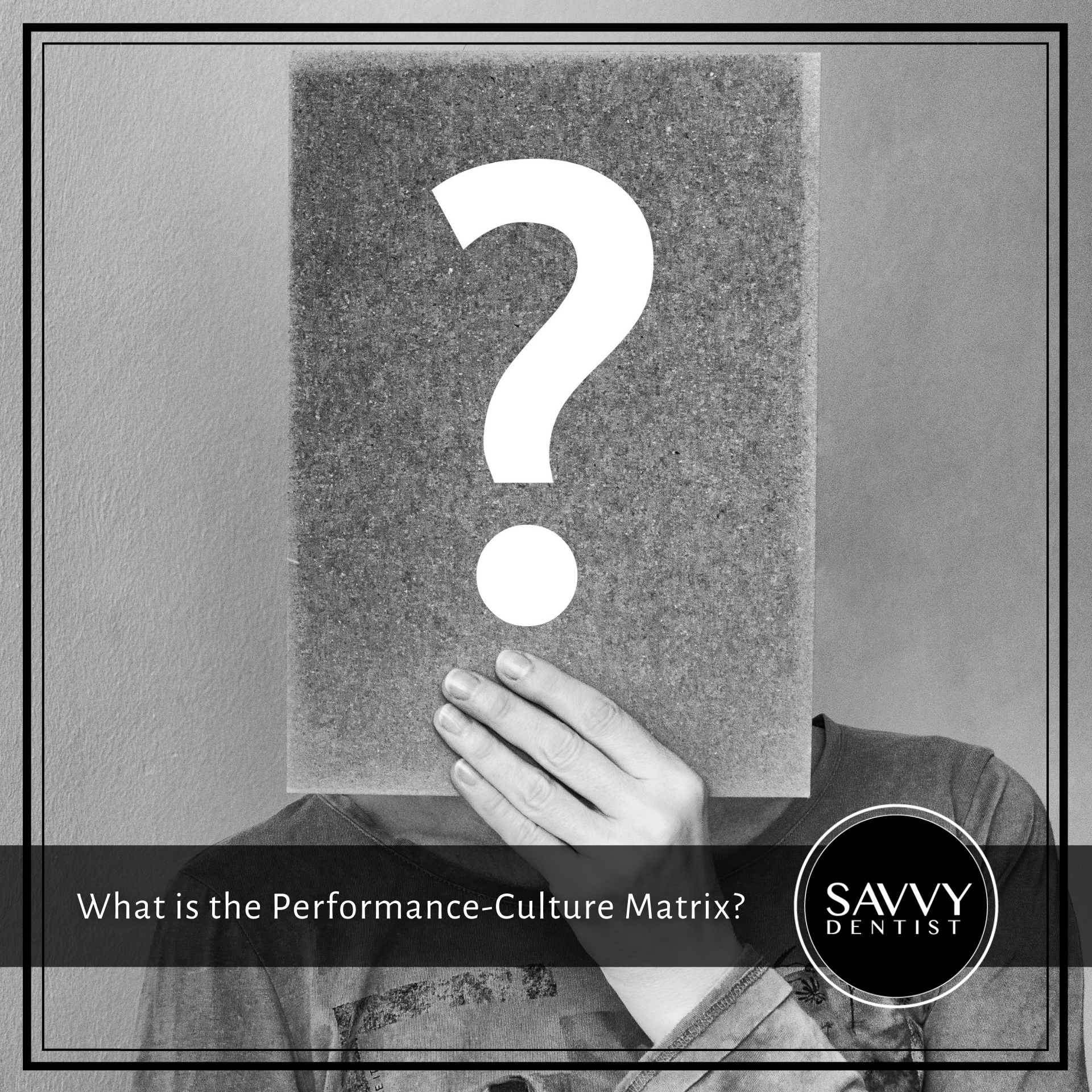 What is the Performance-Culture Matrix?